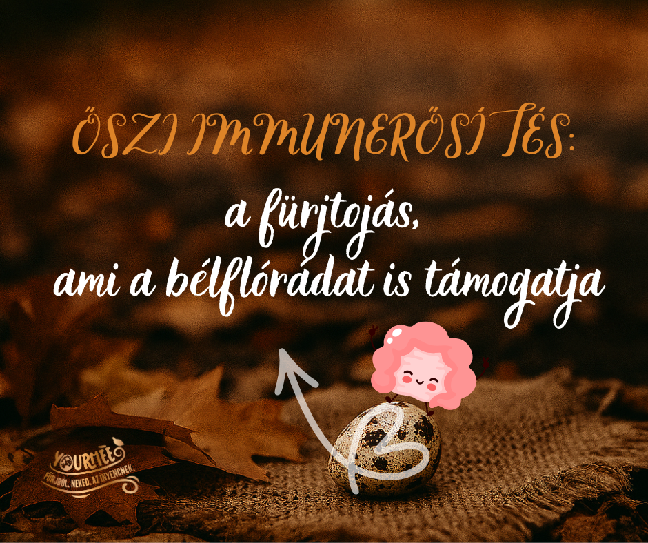 Őszi immunerősítés belülről a fürjtojás, ami a bélflórádat is támogatja